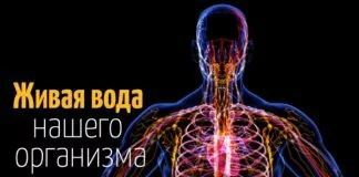 Я и подумать не могла, что застой лимфы настолько опасен для здоровья! Поразительные открытия! лимфа